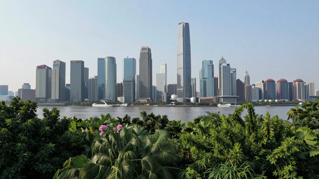 Frequently Asked Questions